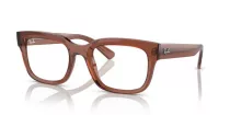 Ray-Ban Chad RX 0RX7217 8261