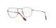 Ray-Ban Frank RX 8157V 1223