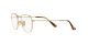 Ray-Ban Frank RX 8157V 1226