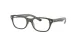 Ray-Ban RY 1555 3946 Ray-Ban RY 1555 3946