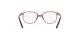 Ray-Ban Leonard Jr RY 9093V 3898