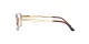 Sferoflex SF 1557B C589