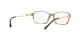Sferoflex SF 1557B C589