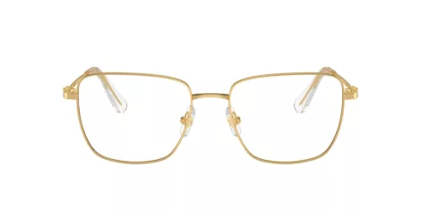 Swarovski SK 1003 4004