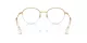 Swarovski SK 1004 4004