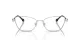 Swarovski SK 1006 4001