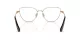 Swarovski SK 1007 4013 Swarovski SK 1007 4013