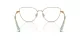 Swarovski SK 1007 4021 Swarovski SK 1007 4021