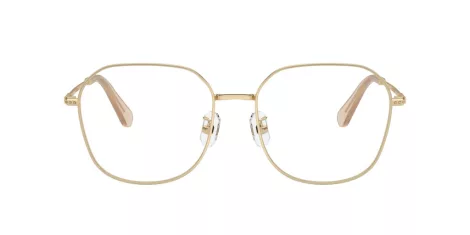 Swarovski SK 1009D 4013