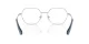 Swarovski SK 1011 4001 Swarovski SK 1011 4001