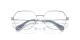 Swarovski SK 1011 4001 Swarovski SK 1011 4001