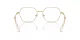 Swarovski SK 1011 4004 Swarovski SK 1011 4004