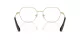 Swarovski SK 1011 4013 Swarovski SK 1011 4013