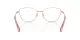 Swarovski SK 1012 4014 Swarovski SK 1012 4014