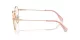 Swarovski SK 1016D 4014