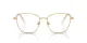 Swarovski SK 1019 4004