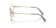 Swarovski SK 1019 4021