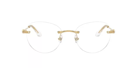 Swarovski SK 1021 4004