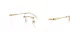 Swarovski SK 1021 4004
