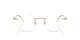 Swarovski SK 1021 4004