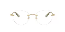 Swarovski SK 1021 4017