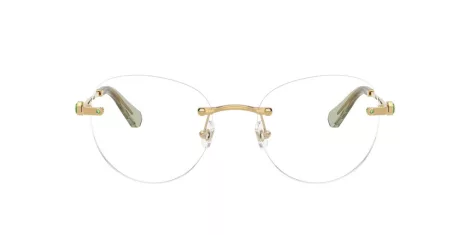 Swarovski SK 1021 4017