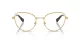 Swarovski SK 1022 4004