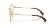 Swarovski SK 1022 4004