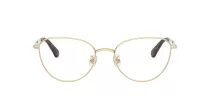 Swarovski SK 1029D 4013