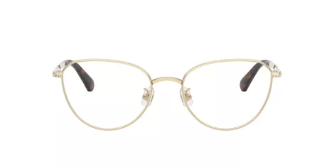 Swarovski SK 1029D 4013