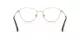 Swarovski SK 1029D 4013
