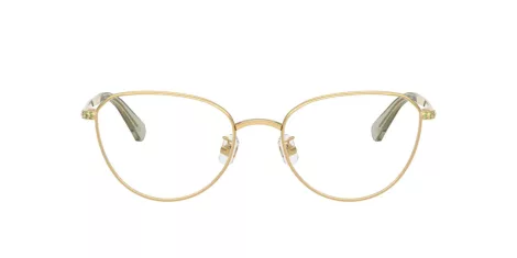 Swarovski SK 1029D 4017