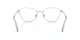 Swarovski SK 1029D 4020