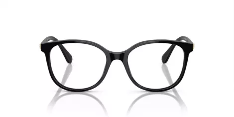 Swarovski SK 2002 1001