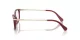 Swarovski SK 2017 1055 Swarovski SK 2017 1055