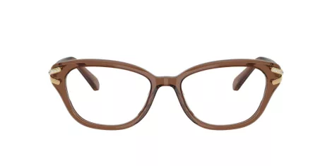 Swarovski SK 2032 1067