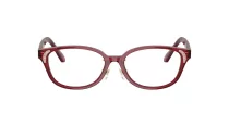 Swarovski SK 2040D 1055