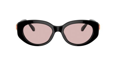 Swarovski SK 6002 1001/5