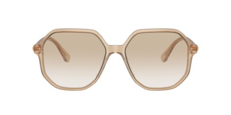 Swarovski SK 6003 103411