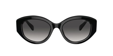 Swarovski SK 6005 10018G Swarovski SK 6005 10018G