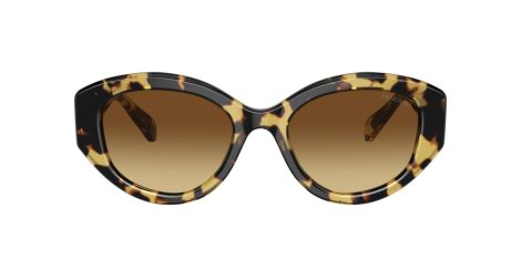 Swarovski SK 6005 100913