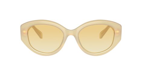 Swarovski SK 6005 10232Q