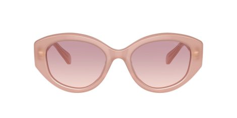 Swarovski SK 6005 102568