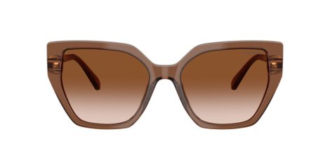 Swarovski SK 6016 106713 Swarovski SK 6016 106713