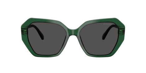 Swarovski SK 6017 104587 Swarovski SK 6017 104587