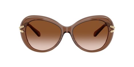 Swarovski SK 6026 106713