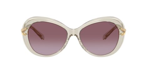 Swarovski SK 6026 30038H Swarovski SK 6026 30038H