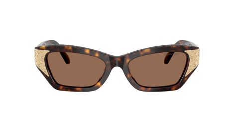 Swarovski SK 6029 100273 Swarovski SK 6029 100273