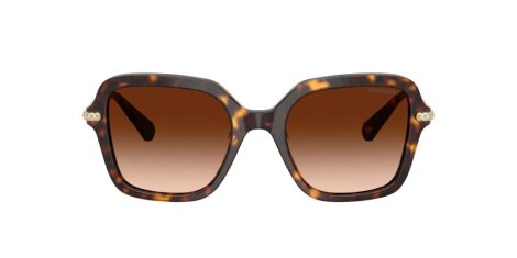 Swarovski SK 6040 100274