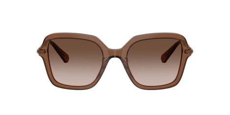 Swarovski SK 6040 106713